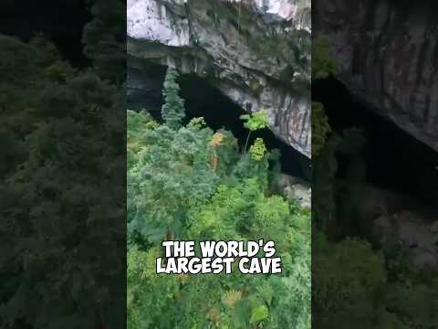 The World's Largest Cave Hang Son Doong