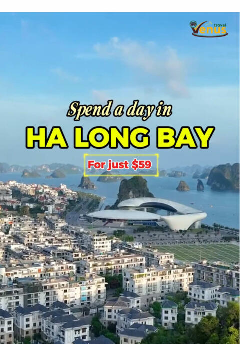 A Magical Ha Long Bay Day Trip - Only $59! Explore a world wonder, check in at Sung Sot Cave, go kayaking, and enjoy fresh seafood - all in just one unforgettable day! Book your spot now and experience the breathtaking beauty of Ha Long Bay! 📩 DM us to reserve your seat! #vietnamtravel #venustravel #touroperator #halongbay #halongbayvietnam 