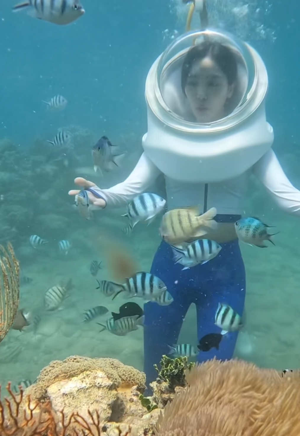 Bạn c&oacute; y&ecirc;u mỡ bụng của m&igrave;nh kh&ocirc;ng?🩵 #vietnam #nhatrang #hanatour #seawork #snorkeling #toiyeuvietnam 