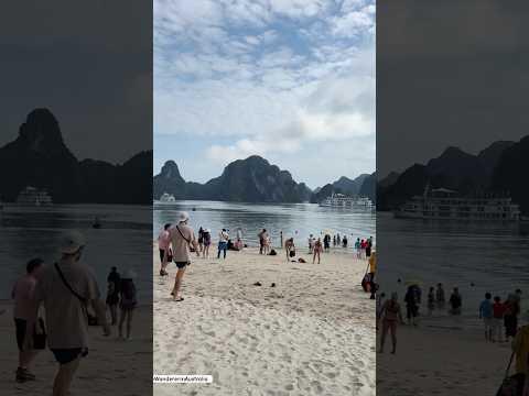 Things to Do in Halong Bay Vietnam🇻🇳#vietnam #traveldiaries #thingstodo #youtubeshorts #ytshorts