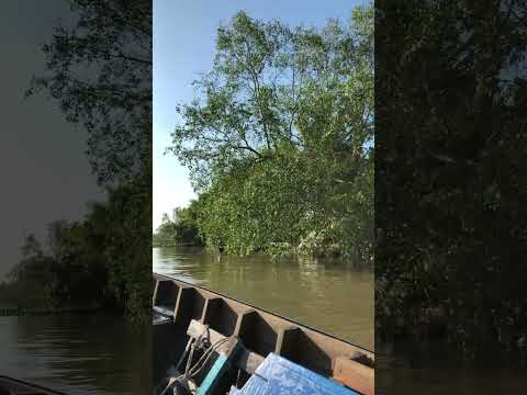 Floating Market Can Tho VIetnam #floatingmarket #cầnthơ #mekongriver #agreesaagri #shorts