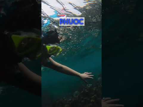 Things to do in Phu Quoc #travelblogger #shortsvideo #vietnam