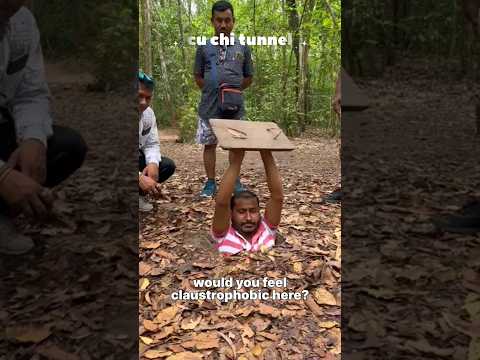 CU CHI TUNNEL ,MEKONG DELTA & CROCODILES FARM TOUR # Shorts#viral #crocodiles #shortsvideo