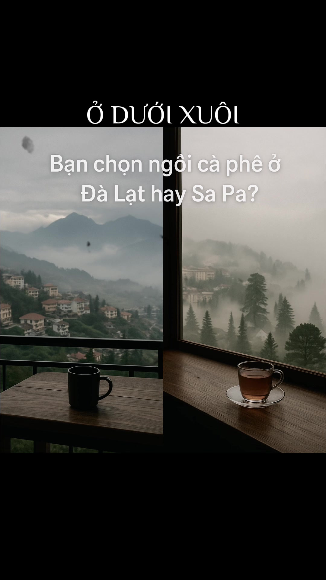 Bạn chọn Đ&agrave; Lạt hay Sapa nếu đi du lịch th&aacute;ng 6 th&aacute;ng du lịch sắp tới ?  	Bạn đ&atilde; l&ecirc;n kế hoạch chưa? Kể m&igrave;nh nghe nh&eacute;!#Chill  #DaLat #SaPa #dulich 