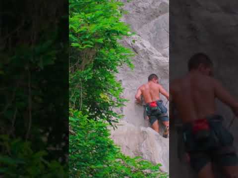 Tips for Catba island #shorts #bsa #vietnam