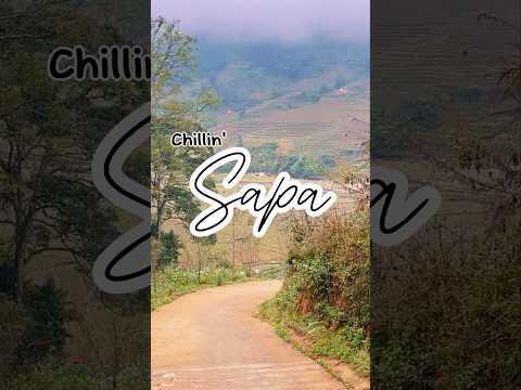 Sapa, Vietnam #hiking #travel #shorts #nature #vietnam #sapa #laocai #ricefield #mountain #roadtrip