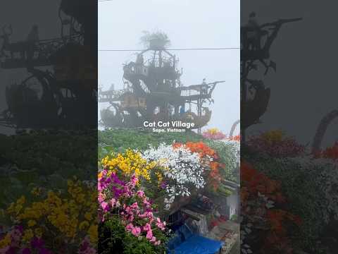 Experience the REAL Cat Cat Village in Sapa Vietnam