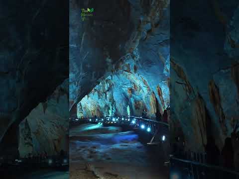 Paradise Cave Vietnam in 60 Seconds #shorts