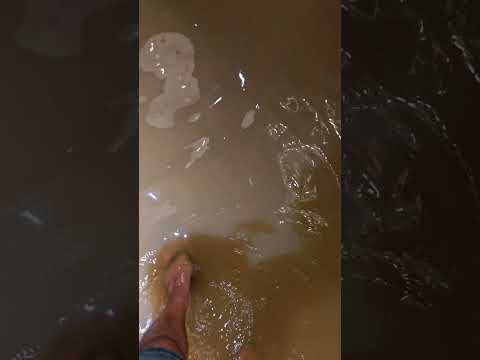 Hoi An is currently facing heavy floods. #HoiAnFloods #danang  #HoiAn2025 #Flood #Vietnam #water