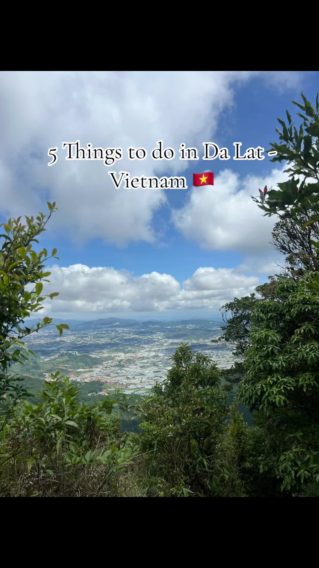 5 THINGS TO DO IN DA LAT VIETNAM 🇻🇳 If you get the chance to visit Dalat we covered these activities in 2 days. There is also night markets on every night between 5 - 11pm. In the day time you can also to canyonning and the zip wire for extra fees.  #backpackers #vietnam #traveller #dalat #hiking #mountains #alpinerollercoaster #dayout #sunny #neverwantthistriptoend 