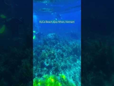 The driving at Ky Co Beach is amazing | Maldives of Vietnam #shorts