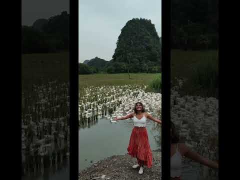 📍Ninh Binh, Vietnam #travel #shorts #vietnam