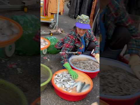 🇻🇳Vietnam, Da lat 2024 Walking Tour #Vietnam #Walking #Travel #Shorts