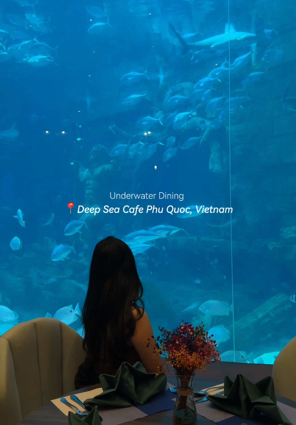Must visit destination while you&rsquo;re in Vinwonders Phu Quoc Vietnam.  Experience the underwater dining with so much sea creature swim around you😍 Will soon upload the details about this restaurant!  Comment &ldquo;YES!&rdquo; if you waiting for it #wheninphuquoc #phuquocisland #vietnam #vinwondersphuquoc 