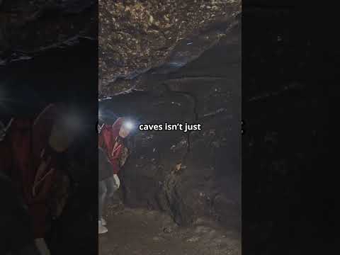 Exploring Phong Nha's Majestic Caves 🌏🦇 #shorts #video #travel #vietnam #holiday #destination