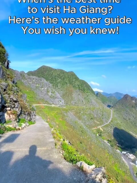 Do you know when is the best time to visit Ha Giang Loop, Vietnam?  🌸 January Cold, dry, and misty. The mountains glow softly under winter fog, and peach & plum blossoms start to bloom. 🌸 February Still cold, but blossoms are brighter, especially around Lunar New Year. Expect busier travel days. 🌼 March Mild temperatures, fresh air, and full bloom. One of the best months for motorbike trips. 🌾 April Comfortable weather and lush scenery. Occasional light rain but still great for the Ha Giang Loop. 💧 May Start of the rainy season, but the rice terraces begin to fill with water &mdash; incredibly photogenic! 🌧️ June &ndash; August Rainy and humid. Dramatic clouds, lush hills, and thundering waterfalls. 🌾 September Rain eases up. Golden rice terraces shine across the valleys &mdash; one of the most stunning times of the year. 🍂 October Cool, clear, and colorful &mdash; peak Ha Giang season. Roads are dry and safe. 🌸 November Buckwheat flower season! The valleys turn pink and purple, drawing visitors from all over Vietnam. ❄️ December Cold and quiet, sometimes even frosty at high altitudes. Magical misty landscapes. 🤙If you need help planning a trip to Ha Giang, feel free to contact us! #hagiangloop #Vietnam #fypシ゚viral🖤tiktok #viral #hanoi