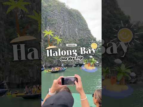 HALONGBAY 1 DAY TRIP #travel #minivlog #storytime #vietnam