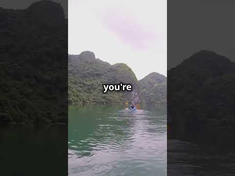 Best Time to Visit Halong Bay, Vietnam! 🌅🚤 #HalongBay #TravelVietnam