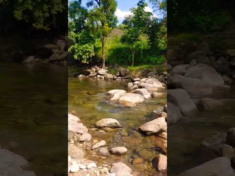 Cảnh đẹp Vùng Cao. du lịch Hà Giang #shots #hagiang #review #shorts