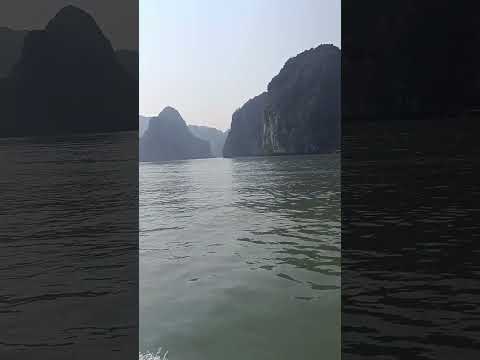 2 Days 1n night in Ha long bay Cruise#vietnam#shorts#travel#4M outdoors#viral#love