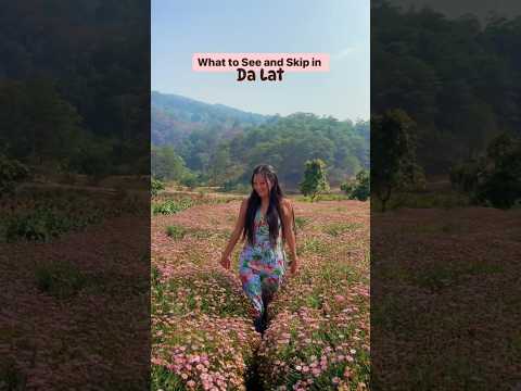 Exploring DA LAT Vietnam's Hidden Gems!