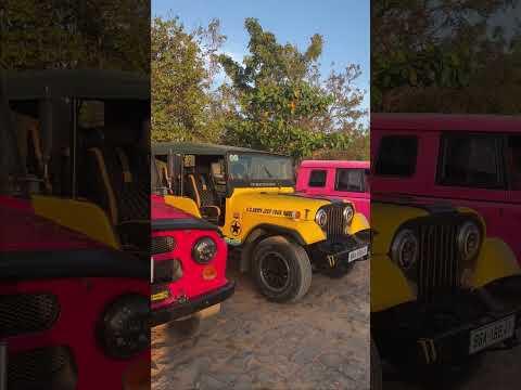 Lịch Tr&igrave;nh 3 Ng&agrave;y 2 Đ&ecirc;m Mũi N&eacute; Phan Thiết #shorts