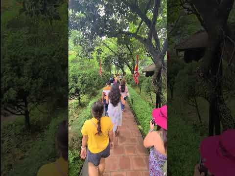 Explore Ninh Binh in a Day! 🌿 | Unforgettable Day Tour Adventure in Vietnam 🇻🇳