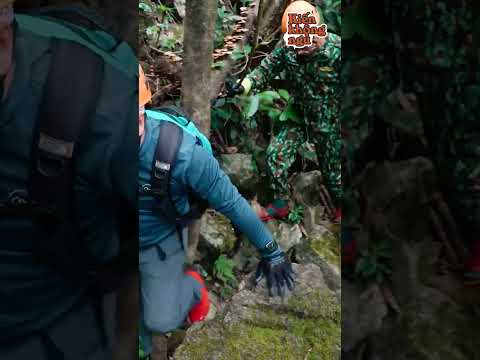 V&igrave; Sao Tour Sơn Đo&ograve;ng Lại C&oacute; Gi&aacute; L&ecirc;n Đến 3000$ 😲- TikTok Kiến Kh&ocirc;ng Ngủ #Shorts