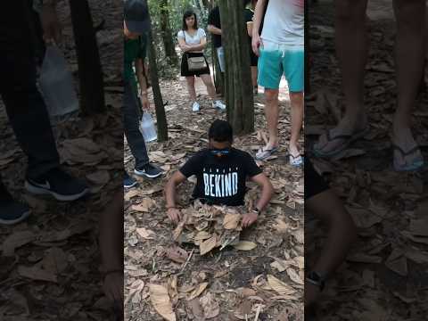 Vietnam 🇻🇳 | cu chi tunnel | ho chi minh city | day tour #travel #vietnam