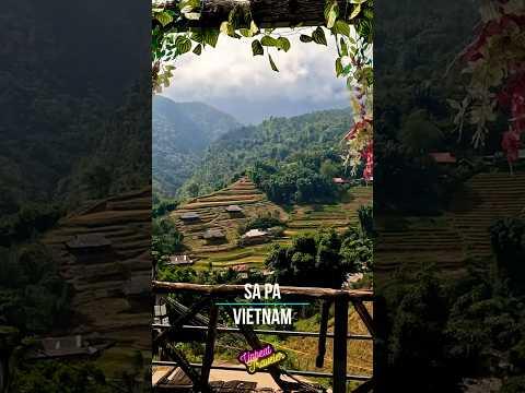 Explore Sapa, Vietnam: Stunning Rice Terraces & Fansipan Peak #shorts #vietnam #sapa