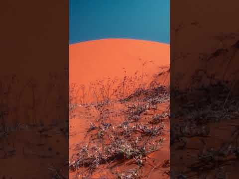 The Red Sand dunes in Mũi N&eacute; #shorts