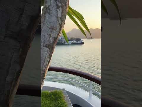 Halong bay luxury cruise! #vietnam #travel #shorts