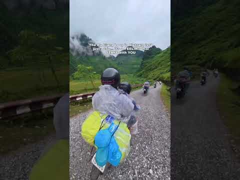 This Is What the Ha Giang Loop Really Feels Like #travel #vietnam #traveling #tour #shorts