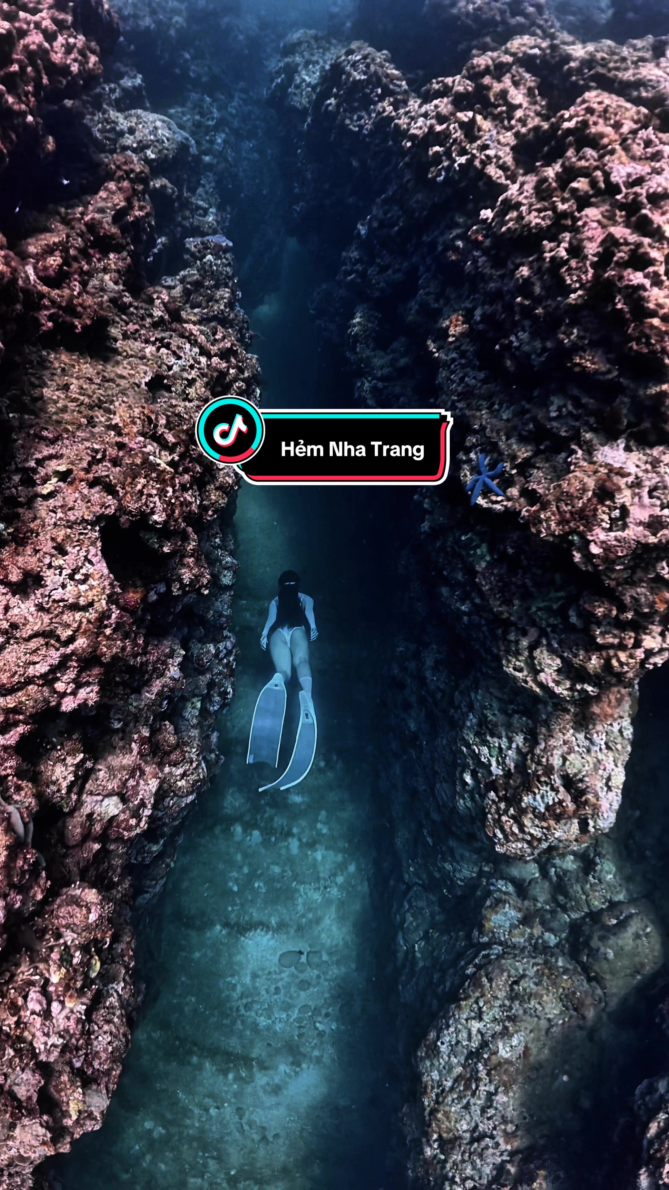 One breath- One world. Freediving is freedom 🩵 📍: Nha Trang, Viet Nam 🇻🇳 #freedivingnhatrang #freedivinggirl #freediving #nhatrang #fyp #xuhuong 