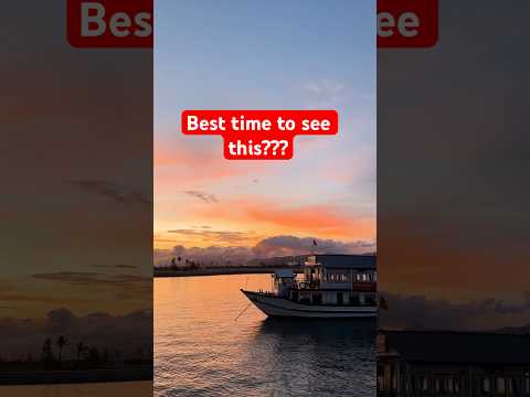 North VietNam - HaNoi - HaLong - NinhBinh&hellip; Which one to choose?? #shorts