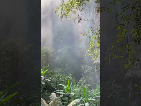 The Phong Nha Ke Bang National Park | The Best Things to Do in Vietnam 🇻🇳  #Shorts #Vietnam