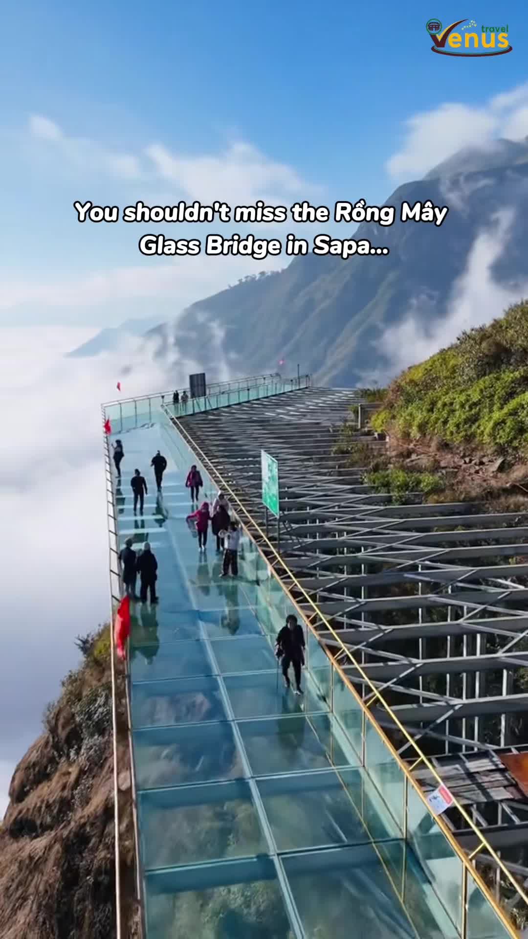 You really shouldn&rsquo;t miss the Rồng M&acirc;y Glass Bridge in Sapa! It&rsquo;s like walking in the sky ☁️ 👉 Planning a trip? Message us - we&rsquo;ve got you covered! #venustravel #TikTokTravel #touroperator #abcxyz #thingstodoinvietnam #creatorsearchinsights #vietnamnews #viral #vietnamwonders #vietnamnow #hiddengems #localexperts #sapa #sapavietnam #glassbridge #invisiblebridge #ropebike #deathswing #zipline #alphinecoaster 