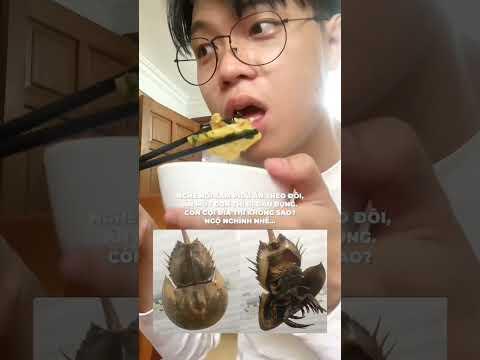 Sam B&agrave; Tỵ - ăn g&igrave; khi du lịch Hạ Long: Đặc sản người Quảng Ninh cũng ăn! | TRƯỜNG TRUE #shorts