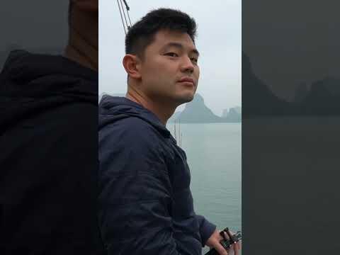 BEST Ha Long Bay Cruise | Vietnam 2023 #travel #shorts #short #vietnam #halongbay #cruise #unesco