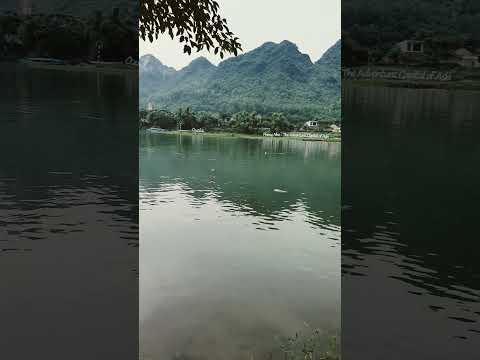 Areca bungalow Phong Nha, Quảng B&igrave;nh #short #shorts