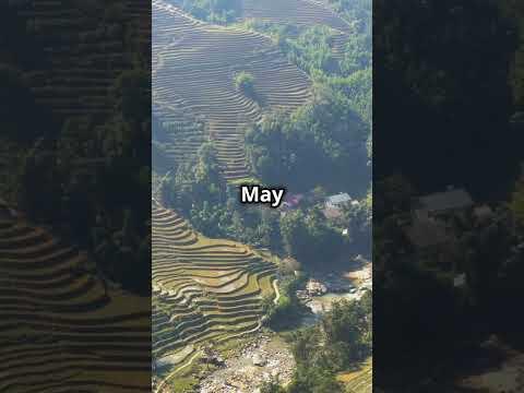 Best Time to Visit Sapa, Vietnam! 🌄 #SapaAdventures #TravelVietnam