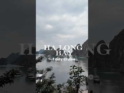 🚢 A Day Tour: 5-Star Luxury Cruise in Ha Long Bay, Vietnam | Ultimate Travel Guide🤩