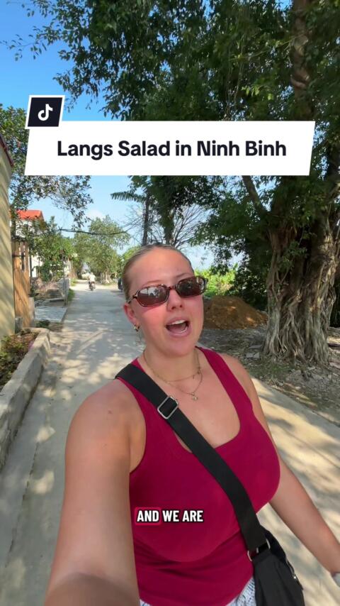 Fresh and Healthy Food in Ninh Binh, exactly what we needed 😍 📍Langs Salad #vietnam #uktraveller #ninhbinh #brunch #uktiktok 
