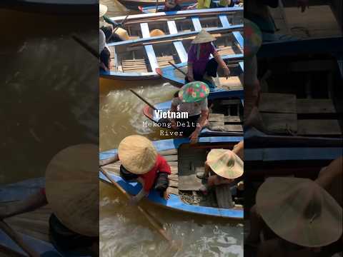 The most beautiful places in Vietnam | Mekong Delta Boat Tour  #travel