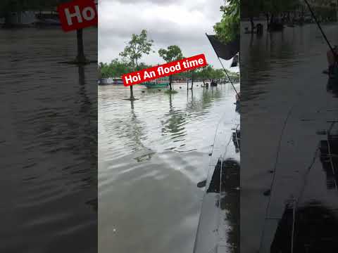 Hoi An flooding time ancient town #shorts #short