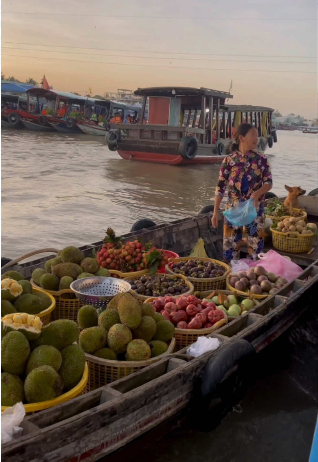 📍 Cai Rang Floating Market. Vietnam 🇻🇳 #cairangfloatingmarket #travelvideo #vietnam 