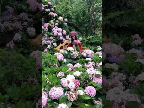 The Flower Princess of CatCat Village, Sapa, Vietnam #shorts #catcatvillage