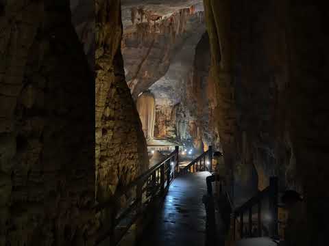 Cənnət mağarası/Paradise cave🇻🇳 #shorts #shortsvideo #shortsfeed #vietnam #travel #nature #reels