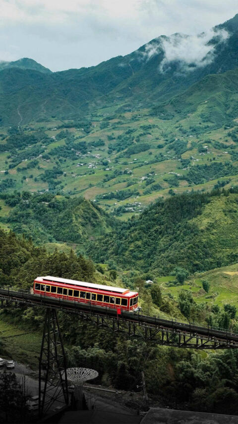 Best time to visit Sapa's rice fields #sapariceterraces #goldenseason #muonghoavalley #terracedfields #sapaharvest 