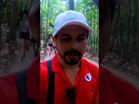 Cu chi Tunnel, Vietnam 🇻🇳 #shorts #shortsvideo #shortsviral